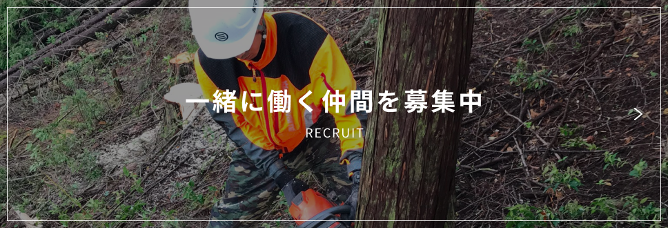 一緒に働く仲間を募集中