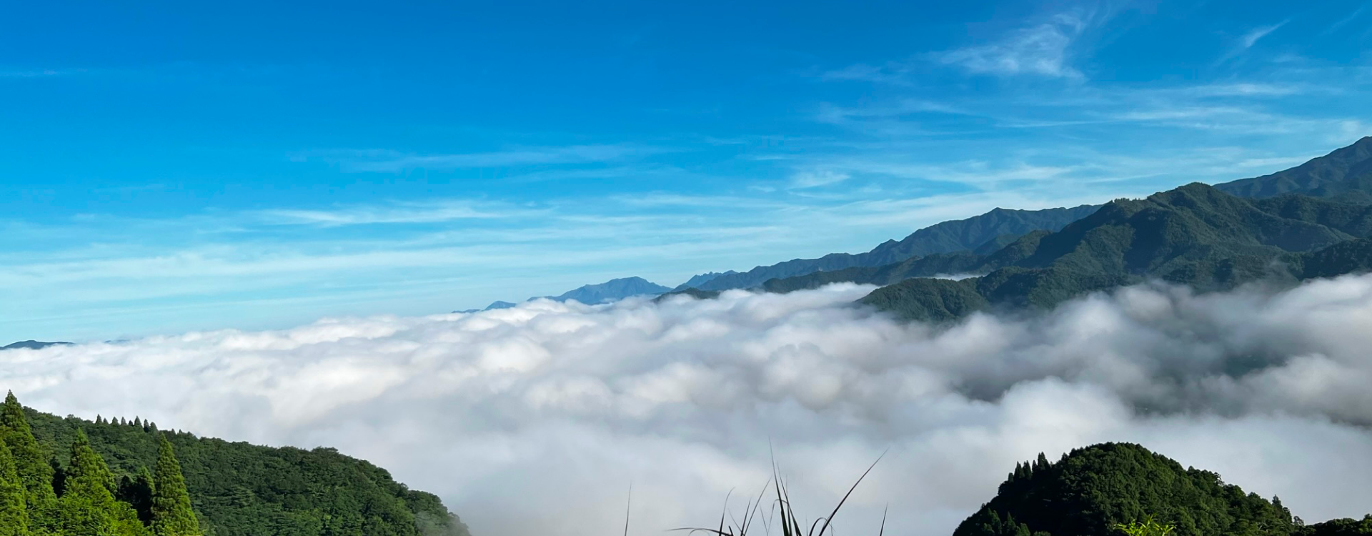 株式会社マルサン