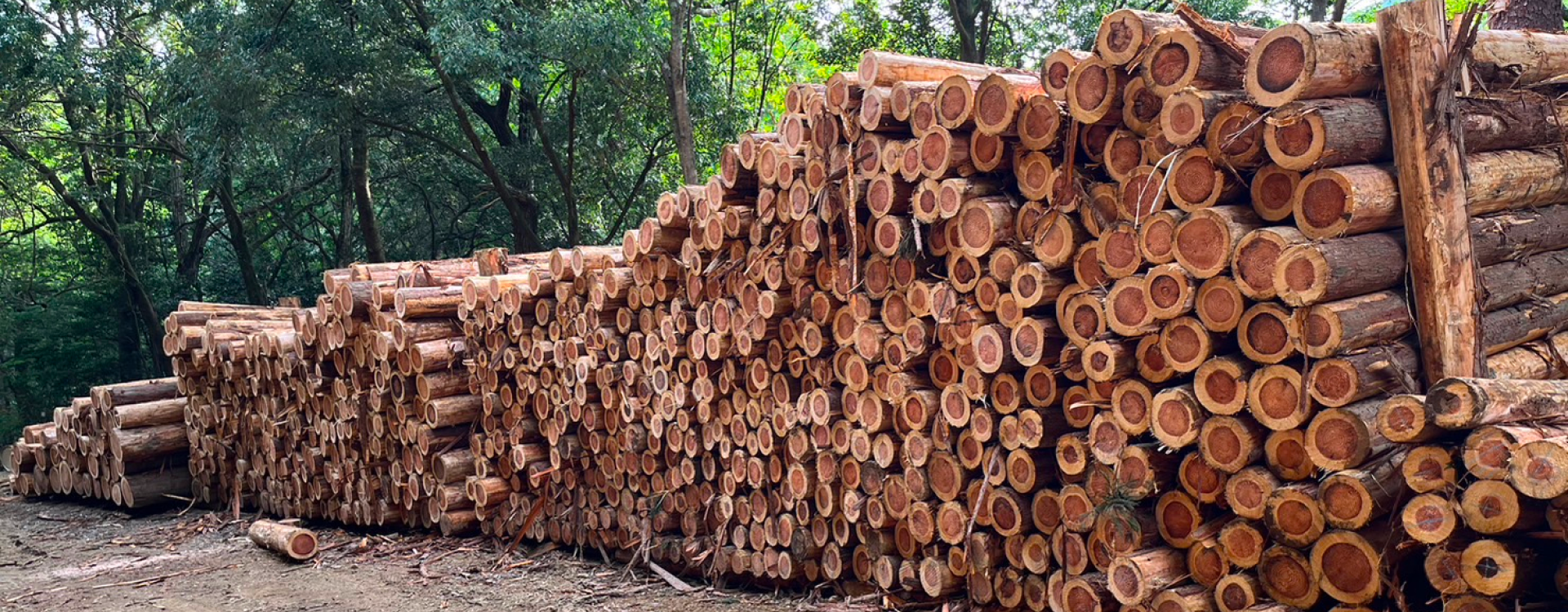 株式会社マルサン