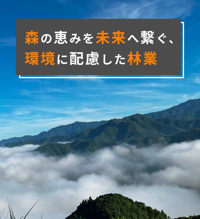 株式会社マルサン
