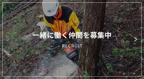 一緒に働く仲間を募集中